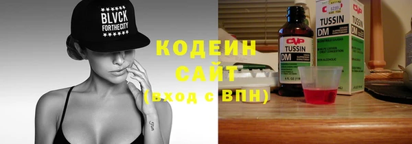 2c-b Ельня