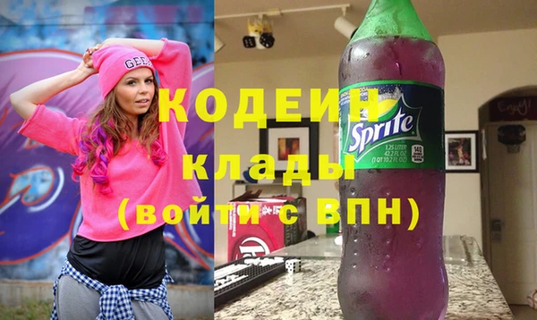 2c-b Ельня