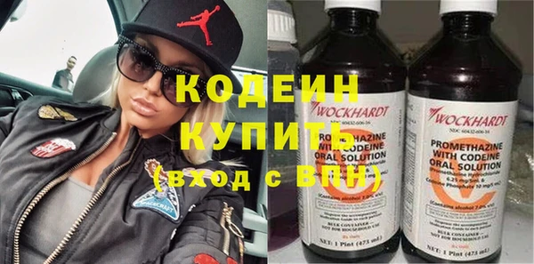 2c-b Ельня