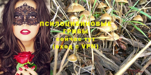 МДПВ Елабуга