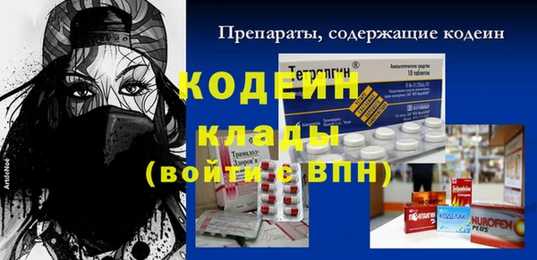 2c-b Ельня