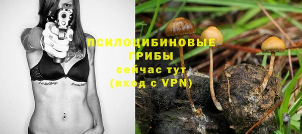 синтетический гашиш Елизово