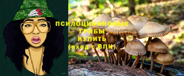 МДПВ Елабуга