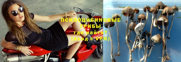 МДПВ Елабуга