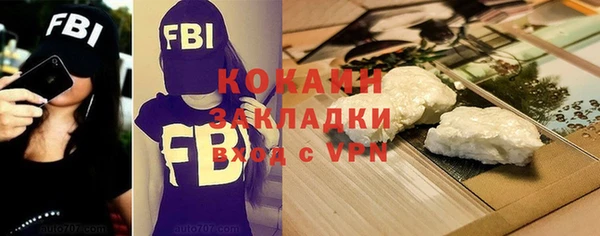 2c-b Ельня