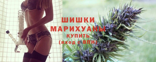 МДПВ Елабуга