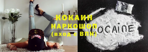 2c-b Ельня